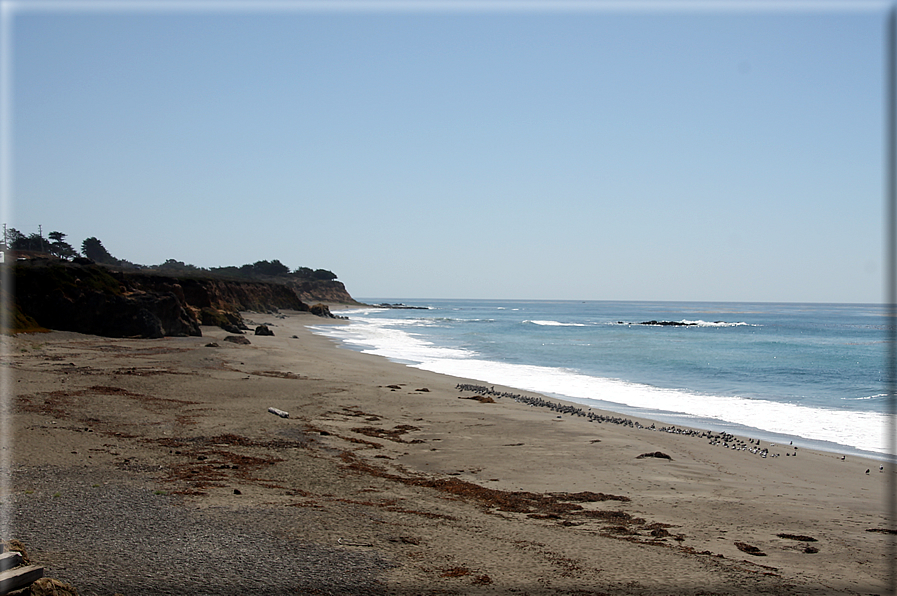 foto Costa del Big Sur